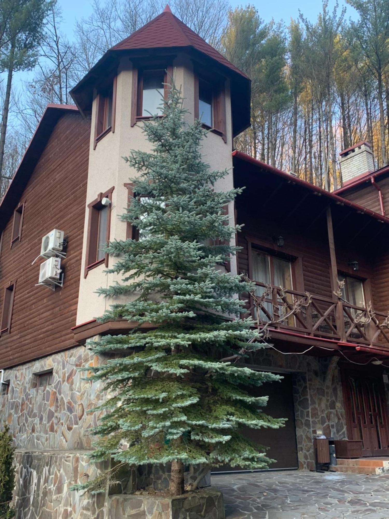 Elf-Cottage Tur'ya Paseka Exterior photo